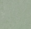 Marmoleum Cinch Loc Seal Panel - Sage 12" x 36"